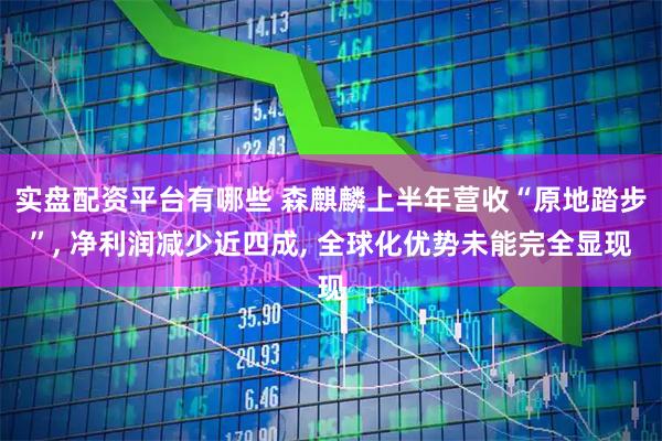 实盘配资平台有哪些 森麒麟上半年营收“原地踏步”, 净利润减少近四成, 全球化优势未能完全显现