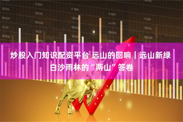 炒股入门知识配资平台 远山的回响｜远山新绿&#32;白沙雨林的“两山”答卷