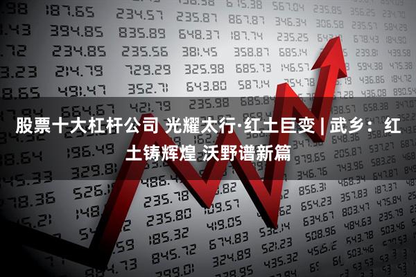 股票十大杠杆公司 光耀太行·红土巨变 | 武乡：红土铸辉煌 沃野谱新篇
