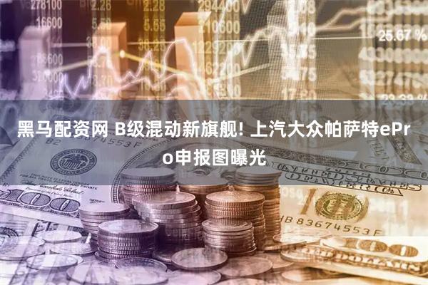 黑马配资网 B级混动新旗舰! 上汽大众帕萨特ePro申报图曝光