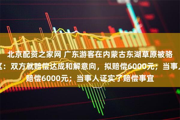 北京配资之家网 广东游客在内蒙古东湖草原被骆驼甩落受伤，景区：双方就赔偿达成和解意向，拟赔偿6000元；当事人证实了赔偿事宜